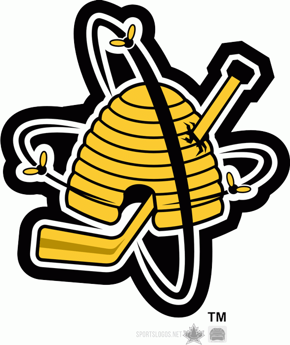 Sarnia Sting 1999-pres alternate logo iron on heat transfer